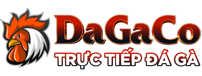 DagaCO – Xem đá gà trực tiếp Thomo C1, C2, C3, C4 hôm nay